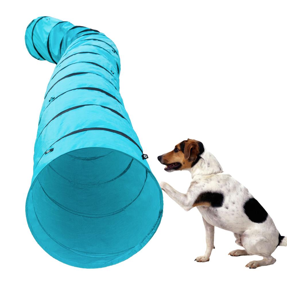 indoor dog tunnel
